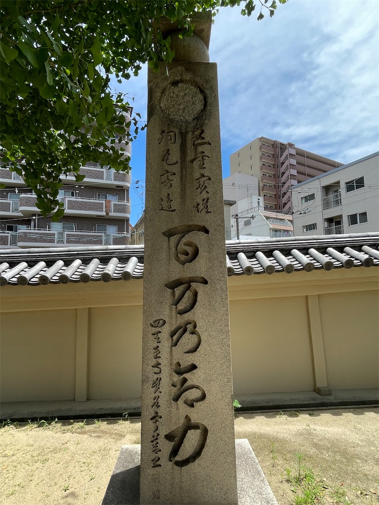 f:id:higachanntan:20240721071812j:image