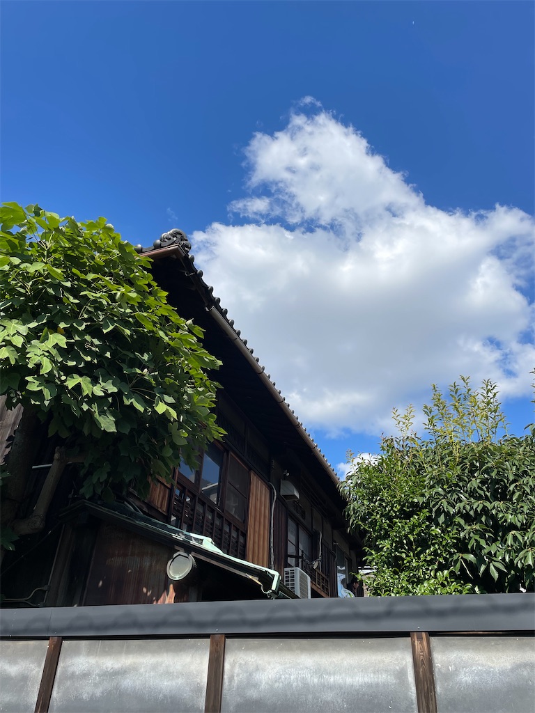 f:id:higachanntan:20240813233531j:image