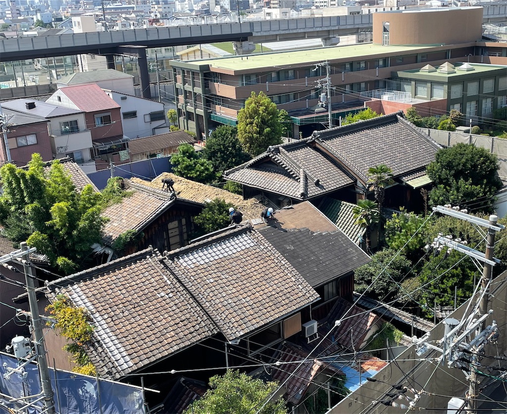 f:id:higachanntan:20240908212719j:image