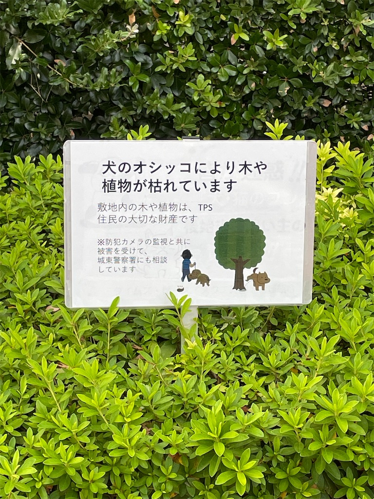f:id:higachanntan:20240925205657j:image