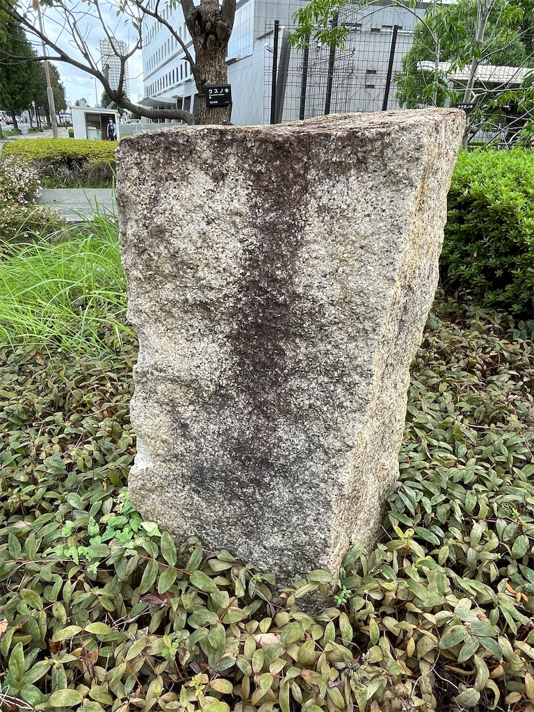 f:id:higachanntan:20241019132148j:image