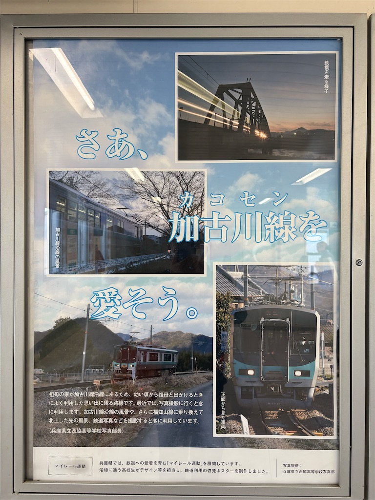 f:id:higachanntan:20241114022823j:image