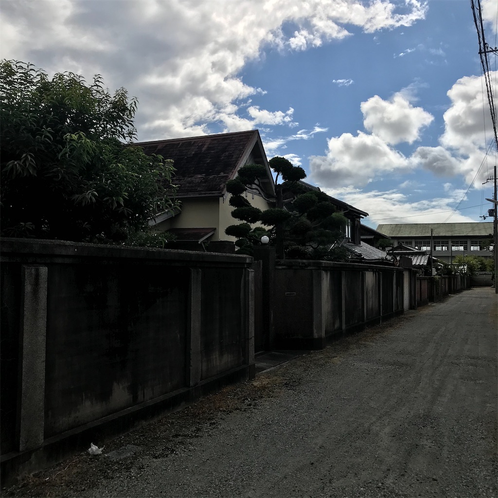 f:id:higachanntan:20241114051413j:image