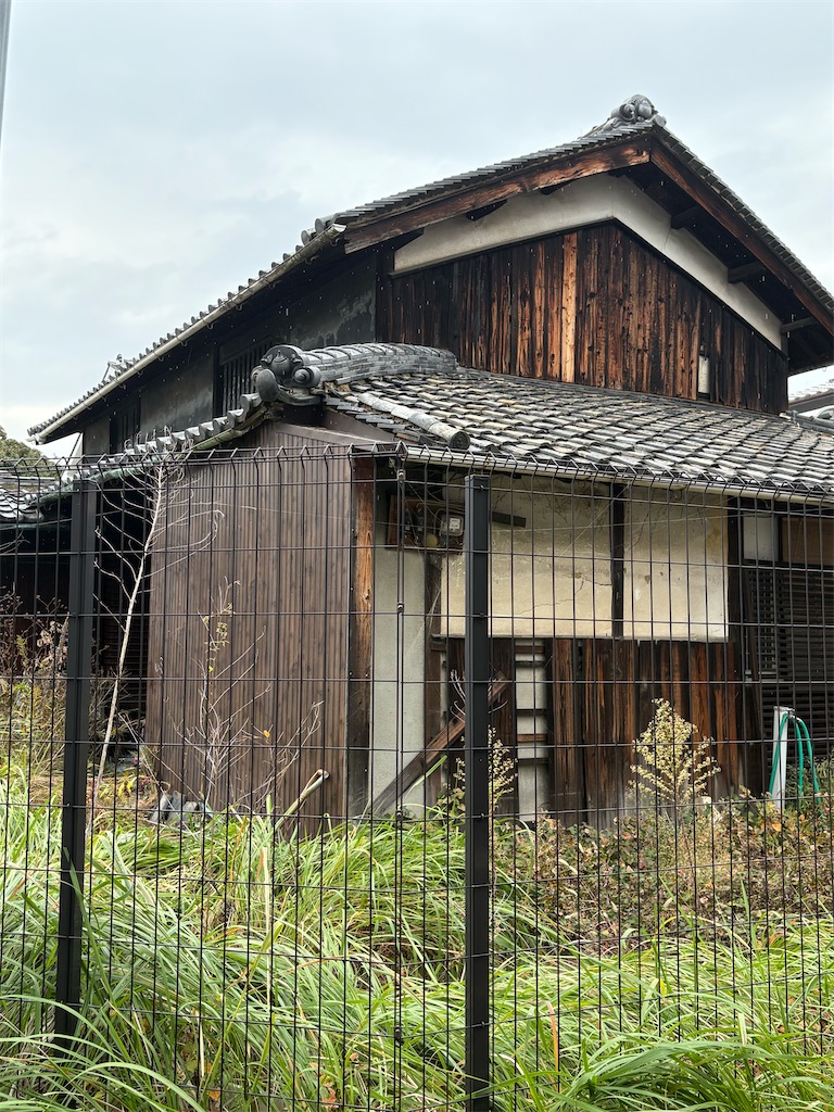 f:id:higachanntan:20241116013402j:image