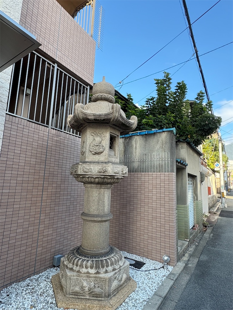 f:id:higachanntan:20241120010541j:image