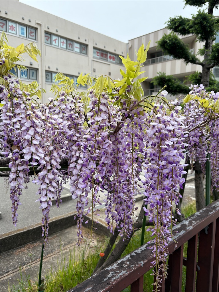 f:id:higachanntan:20250420171437j:image