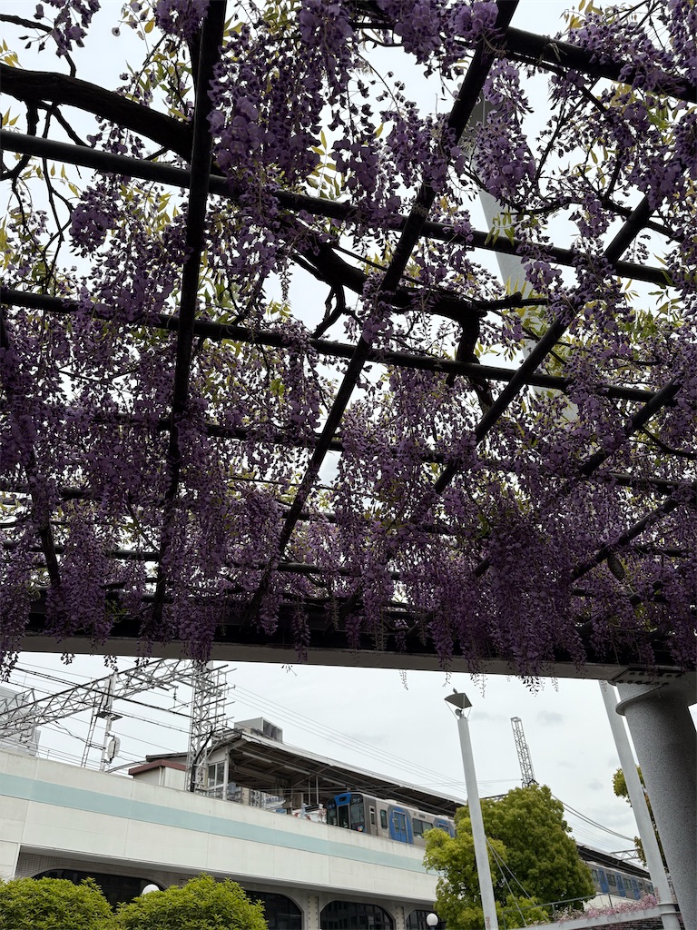 f:id:higachanntan:20250423141843j:image