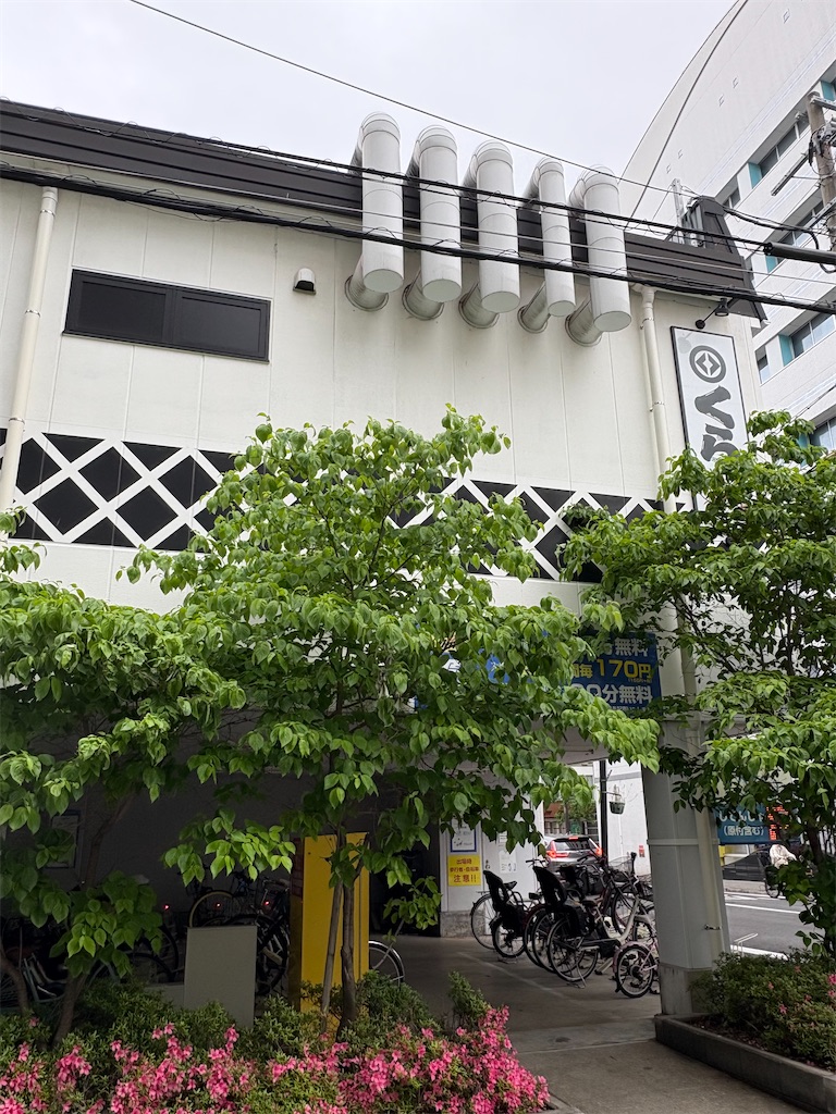 f:id:higachanntan:20250518081531j:image