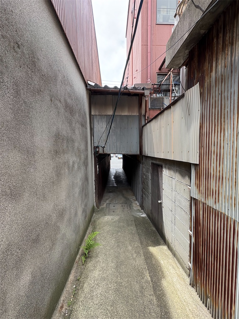 f:id:higachanntan:20250607025049j:image