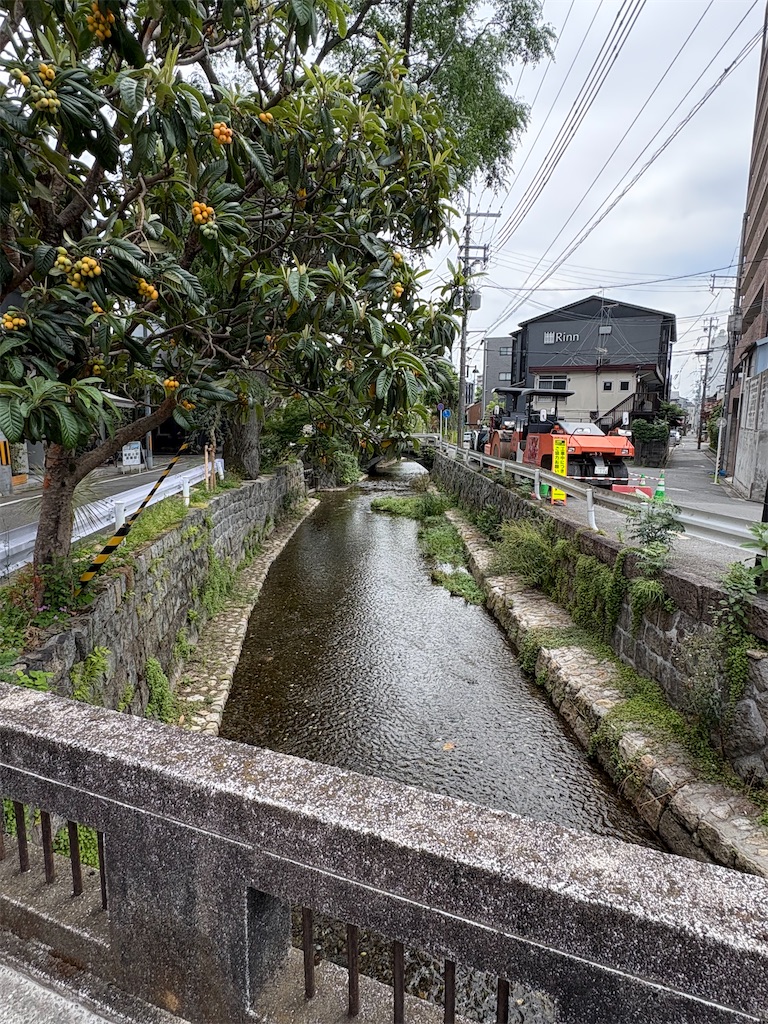 f:id:higachanntan:20250607032251j:image