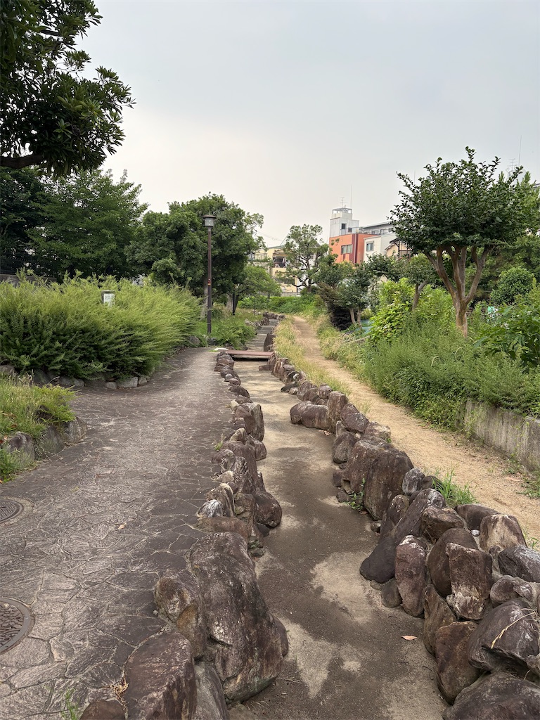 f:id:higachanntan:20250703194407j:image