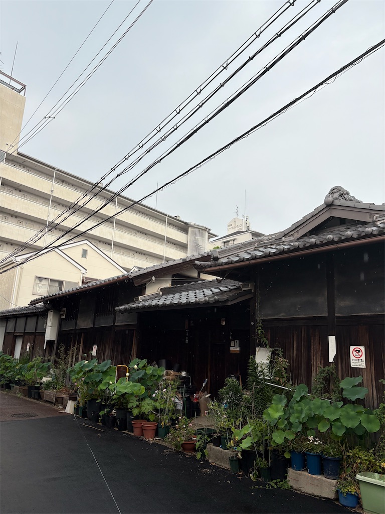 f:id:higachanntan:20250703194416j:image