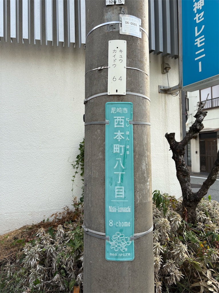 f:id:higachanntan:20250907045059j:image