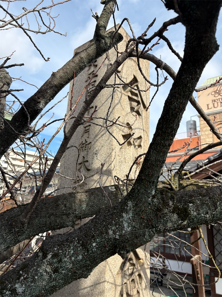 f:id:higachanntan:20260101203601j:image