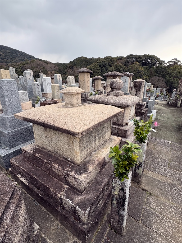 f:id:higachanntan:20260202205000j:image