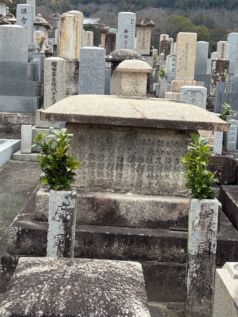 f:id:higachanntan:20260202205005j:image