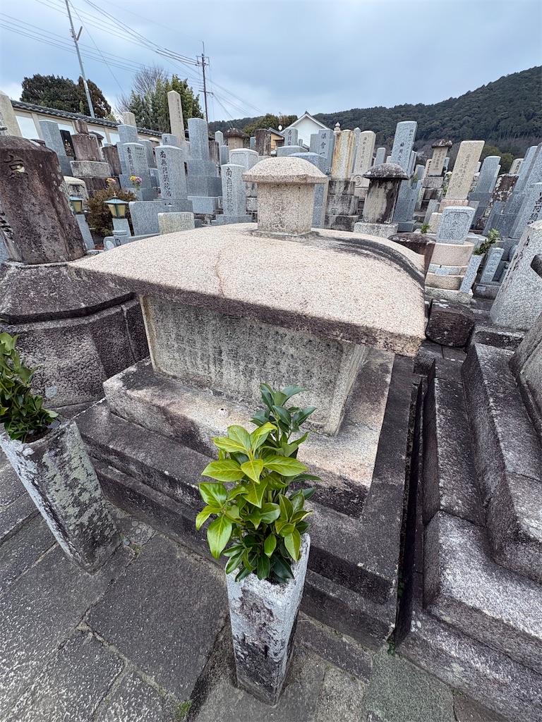 f:id:higachanntan:20260202205015j:image