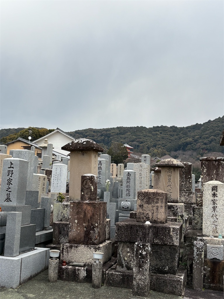 f:id:higachanntan:20260202220912j:image