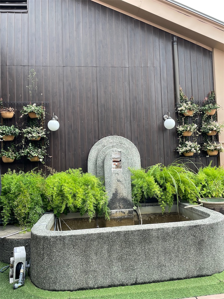 f:id:higachanntan:20260514094704j:image