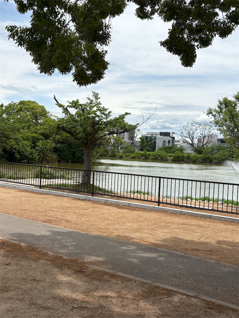 f:id:higachanntan:20260526174352j:image