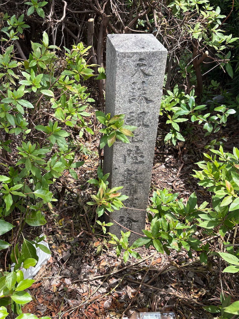 f:id:higachanntan:20260705171837j:image