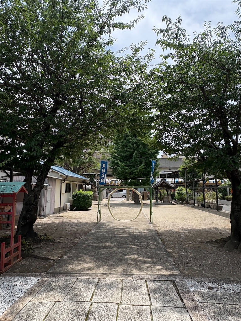 f:id:higachanntan:20260705172055j:image