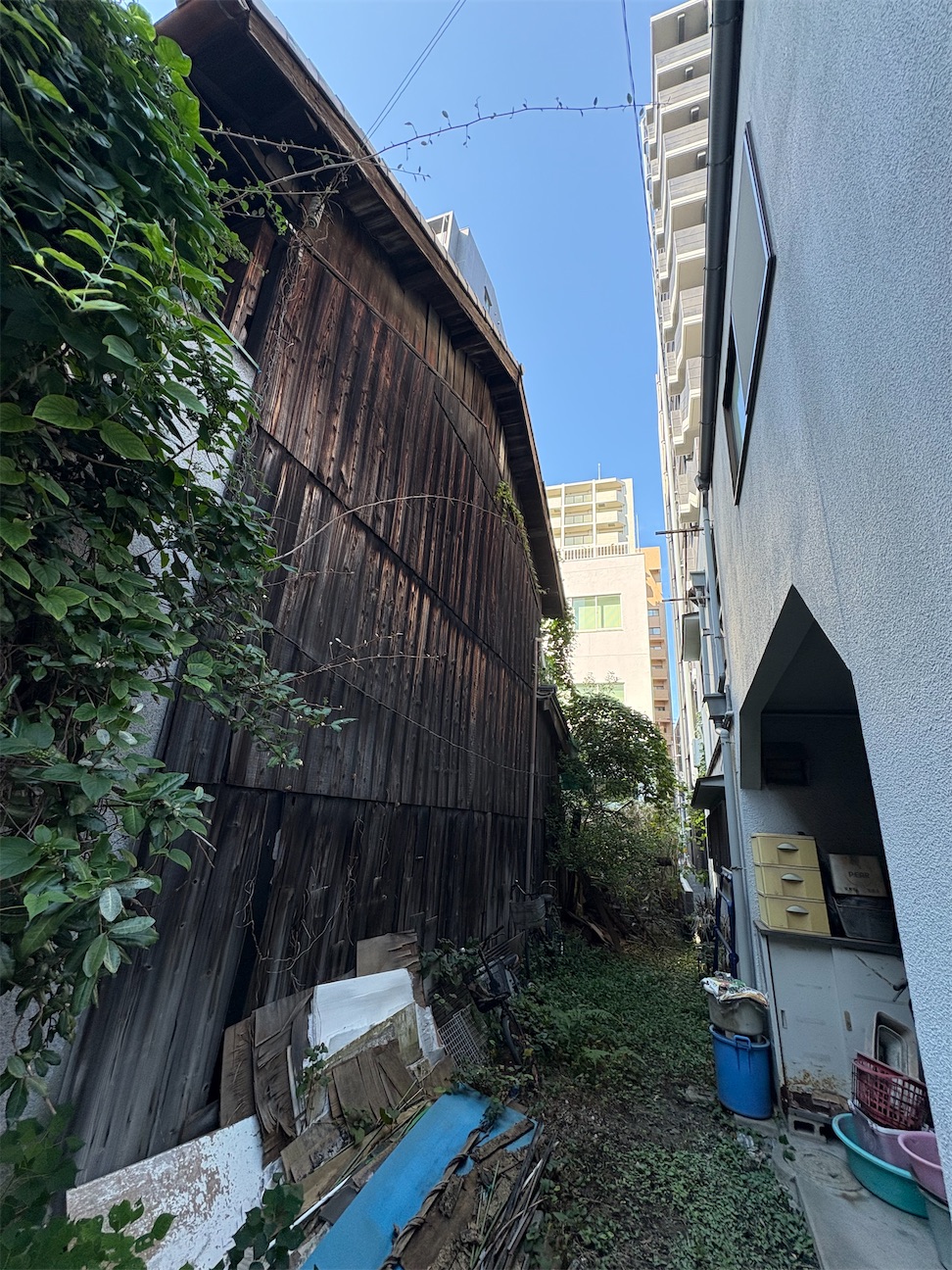 f:id:higachanntan:20261013160908j:image