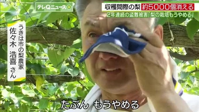f:id:higaishiya:20260722160620j:image f:id:higaishiya:20260722160620j:image