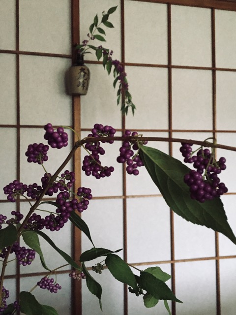 f:id:higanzakura109:20210930144958j:plain