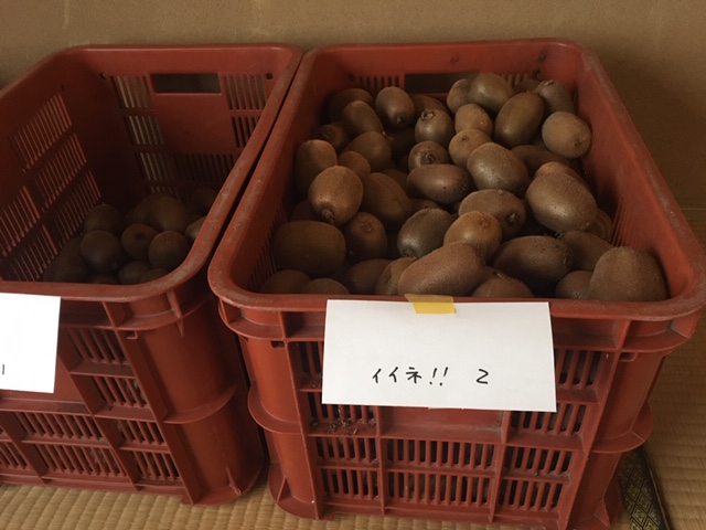 f:id:higanzakura109:20211206201420j:plain