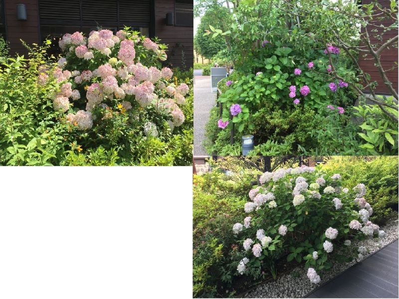 f:id:higashi2018:20210723162206j:plain