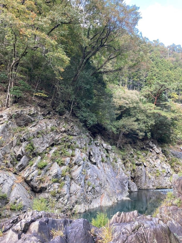 f:id:higashi2018:20211104203908j:plain