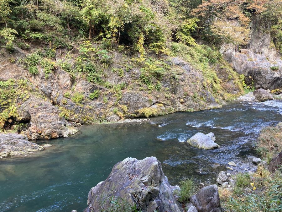 f:id:higashi2018:20211104203931j:plain