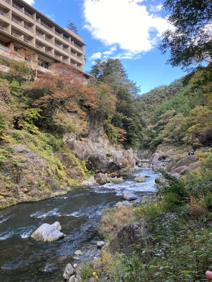 f:id:higashi2018:20211104203938j:plain
