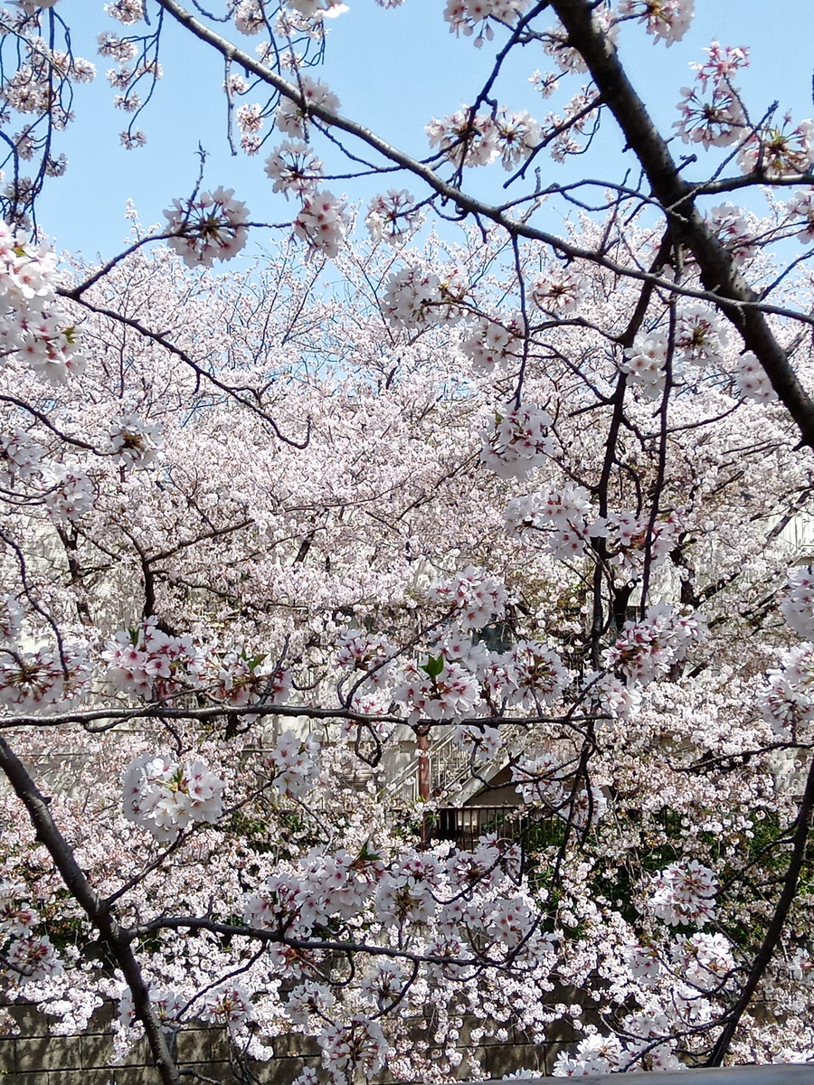 f:id:higashiikebukuro:20210401060755j:plain