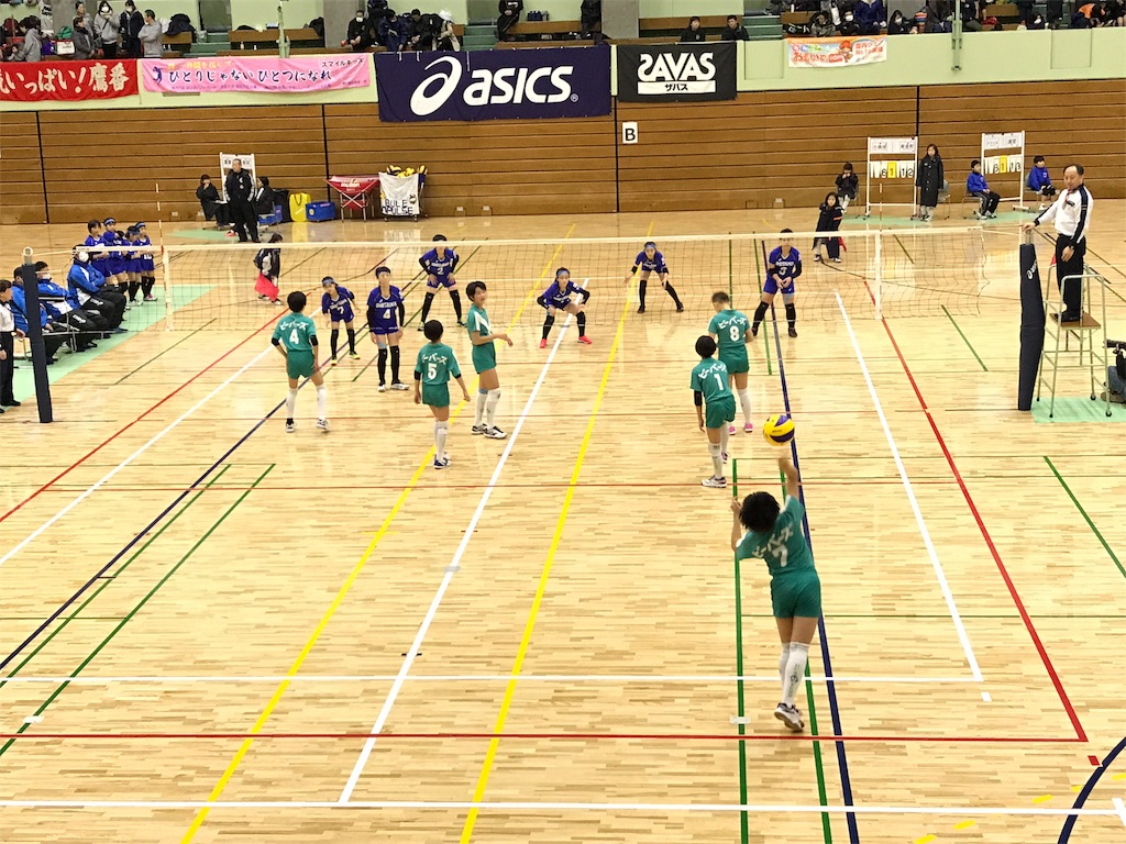 f:id:higashikanamachi_beavers:20190112210408j:image f:id:higashikanamachi_beavers:20190112210408j:image