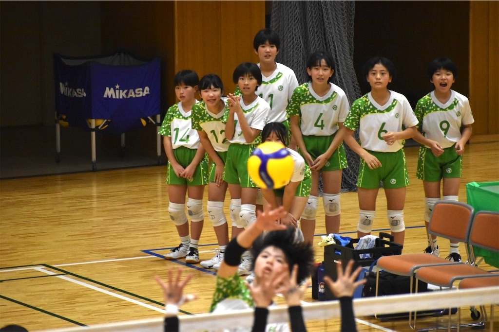 f:id:higashikanamachi_beavers:20241105223000j:image