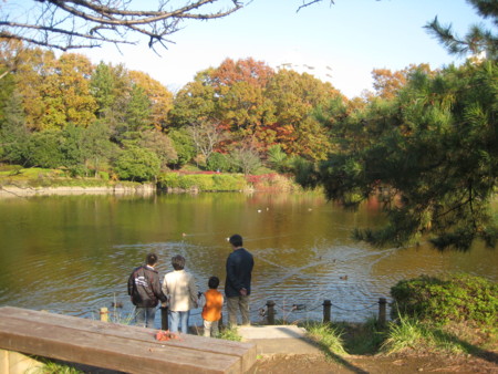 f:id:higashinaoko:20121124140220j:image