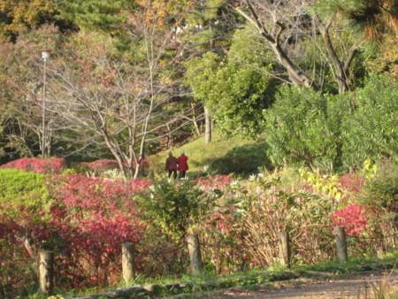 f:id:higashinaoko:20121124142130j:image