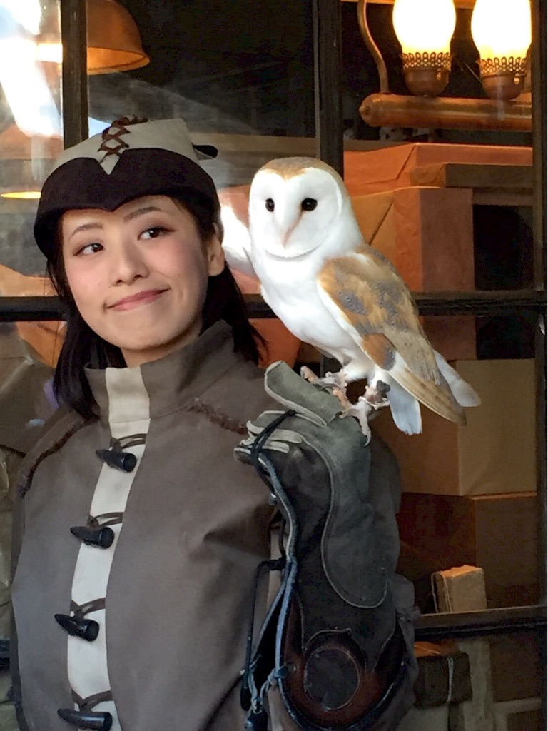 f:id:higashiyama-noda935:20161225174307j:image f:id:higashiyama-noda935:20161225174307j:image