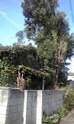 f:id:higasi-kurumeda:20120607164213j:image