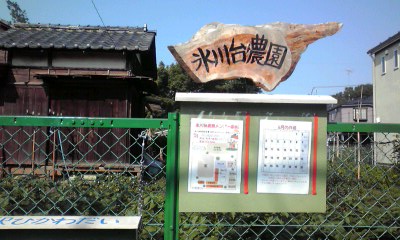 f:id:higasi-kurumeda:20120614154521j:image:w640 f:id:higasi-kurumeda:20120614154521j:image:w640