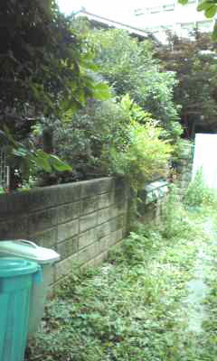 f:id:higasi-kurumeda:20120626101228j:image