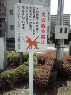 f:id:higasi-kurumeda:20160321120200j:image