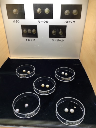f:id:hige-mikan:20191203160727j:image f:id:hige-mikan:20191203160727j:image