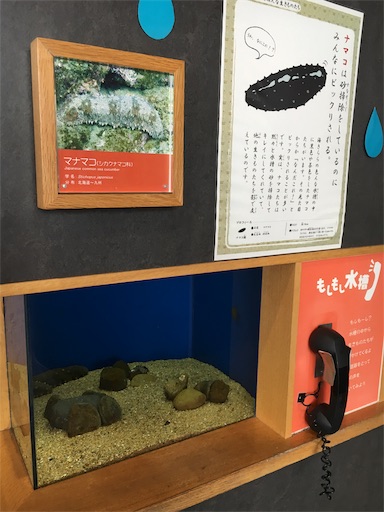 f:id:hige-mikan:20191207112527j:image f:id:hige-mikan:20191207112527j:image