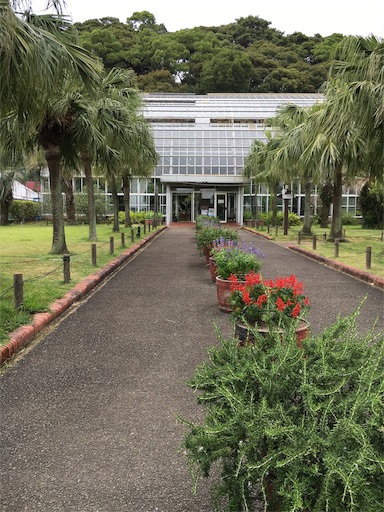 f:id:hige-mikan:20191221122047j:image f:id:hige-mikan:20191221122047j:image