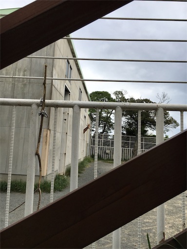 f:id:hige-mikan:20191221185433j:image f:id:hige-mikan:20191221185433j:image