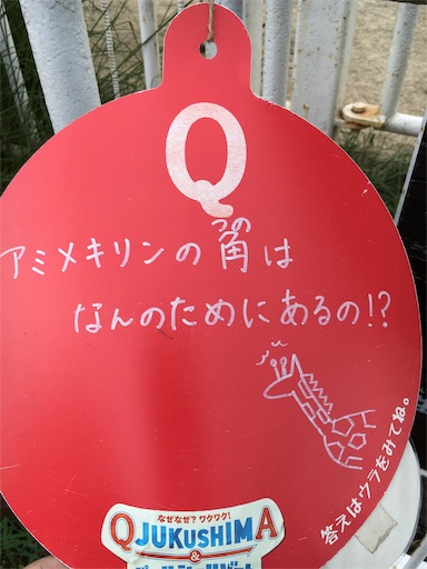 f:id:hige-mikan:20191221185657j:image f:id:hige-mikan:20191221185657j:image