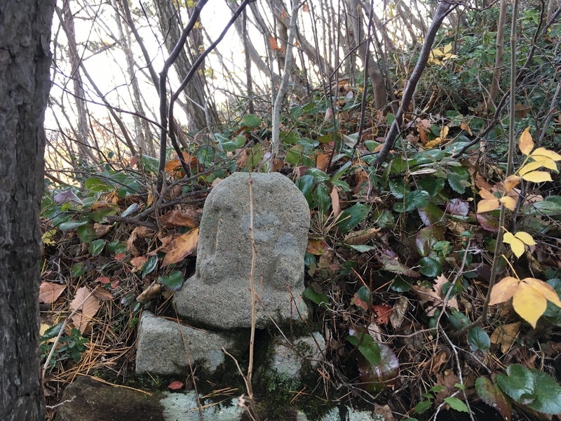 f:id:higea:20191117173811j:plain